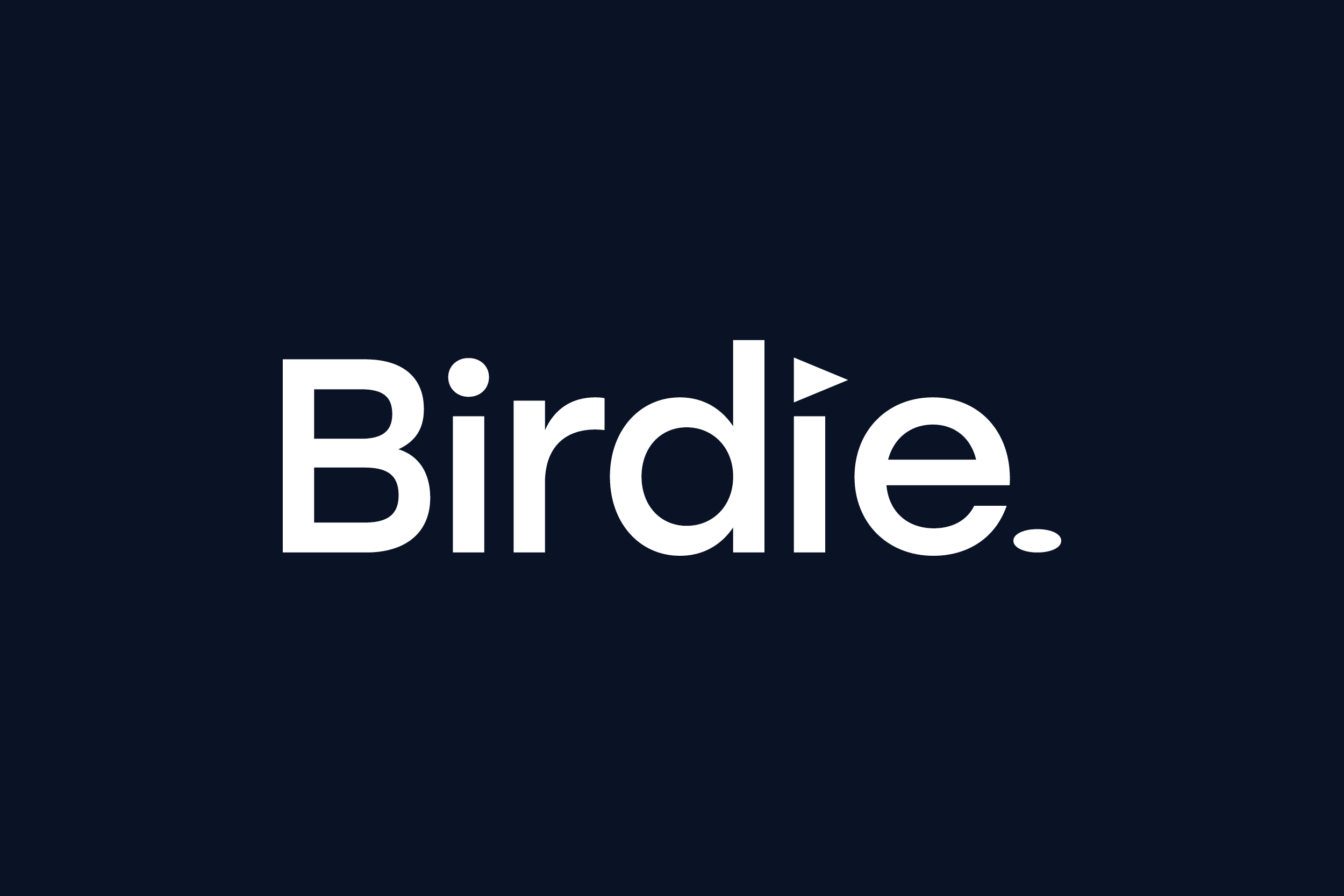 Birdie Financial logo